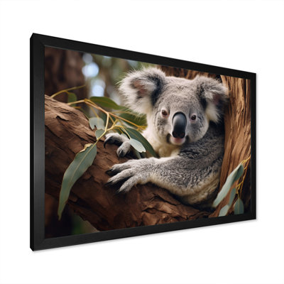 Australia Koala Haven I " Australia Koala Haven I "