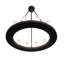 Tomohisa 12 - Light Chandelier