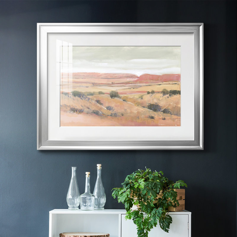 Southwest I, reproduction d'art encadrée, Argent, H 30 po x l 44 po x P 1,5 po