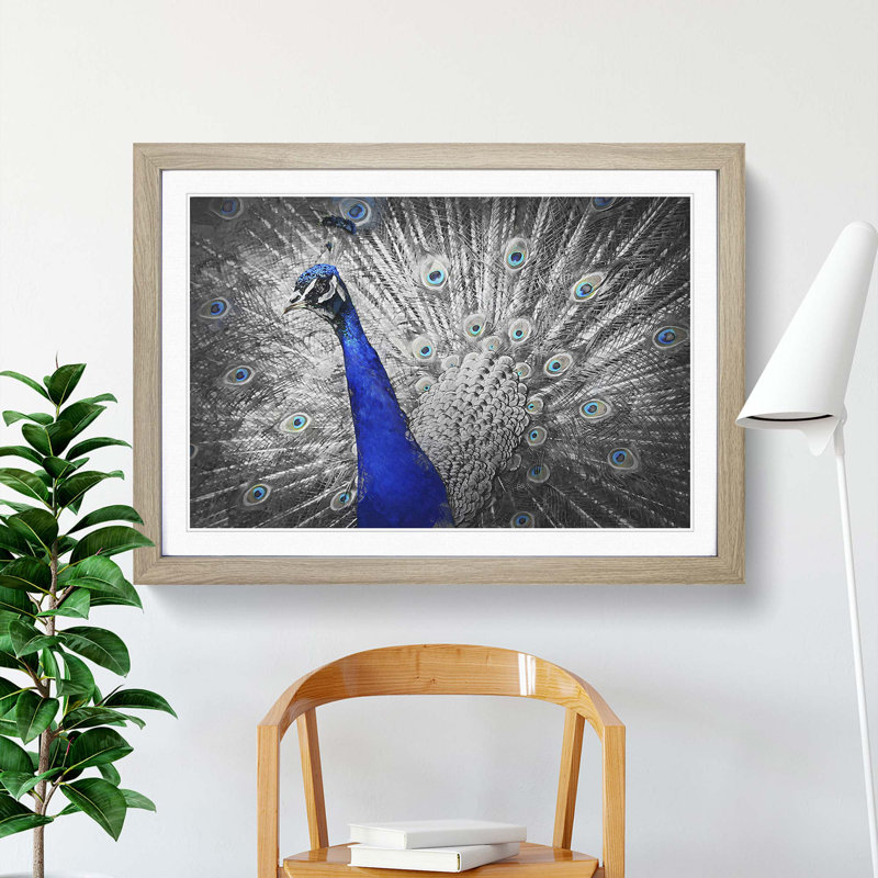 Peacock with Its Feathers Spread - Picture Frame Graphic Art Print, Oak Framed, 48cm H x 65cm W x 2cm D