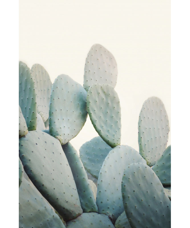 Wrapped Canvas Print, 91.44 cm H x 60.96 cm W