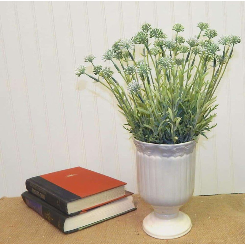 Allium buisson