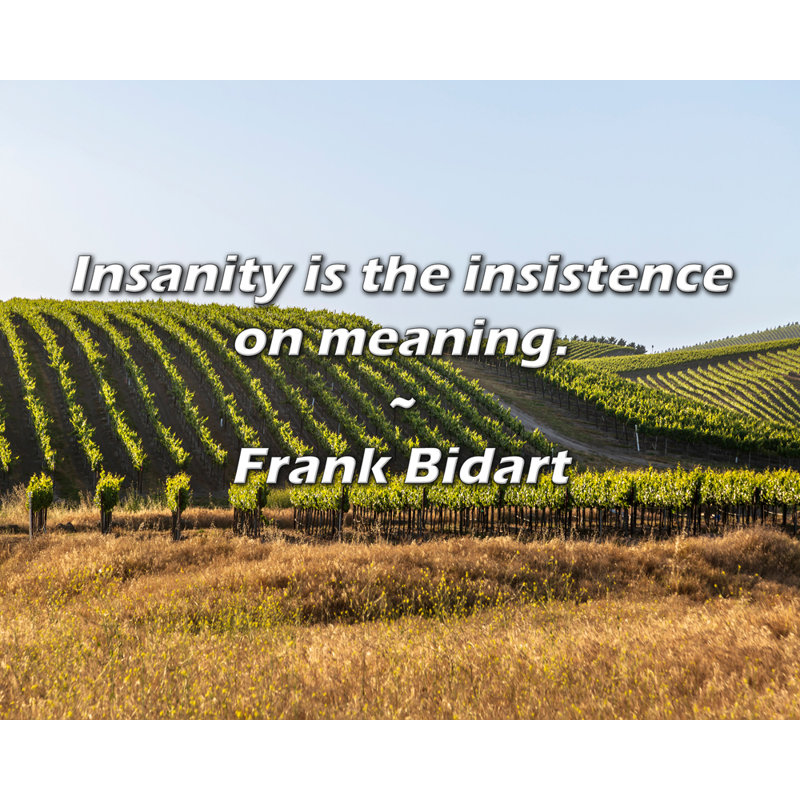 Citation de Frank Bidart: La folie est l'insistance sur le sens., H 26 po x l 32 po