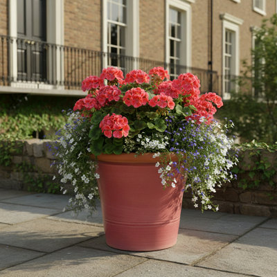 Kitchen Planter