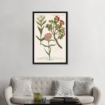 « botanique varietes iv », impression sur toile