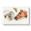 Illustrations Of Horses by Henry Thomas Alken - Wrapped Canvas-55363143