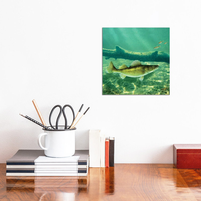 Deep Water Walleye - Wrapped Canvas Print, 30.48 cm H x 30.48 cm W