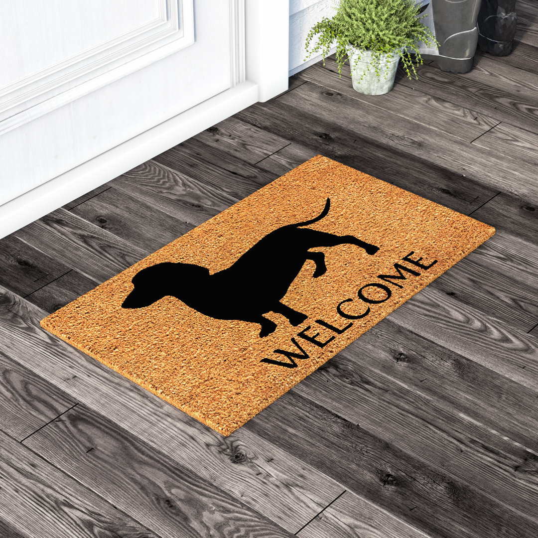 Timmie Non-Slip Outdoor Door Mat Winston Porter Mat 