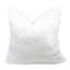 Zebra Seeing Double Square Pillow Cover & Insert