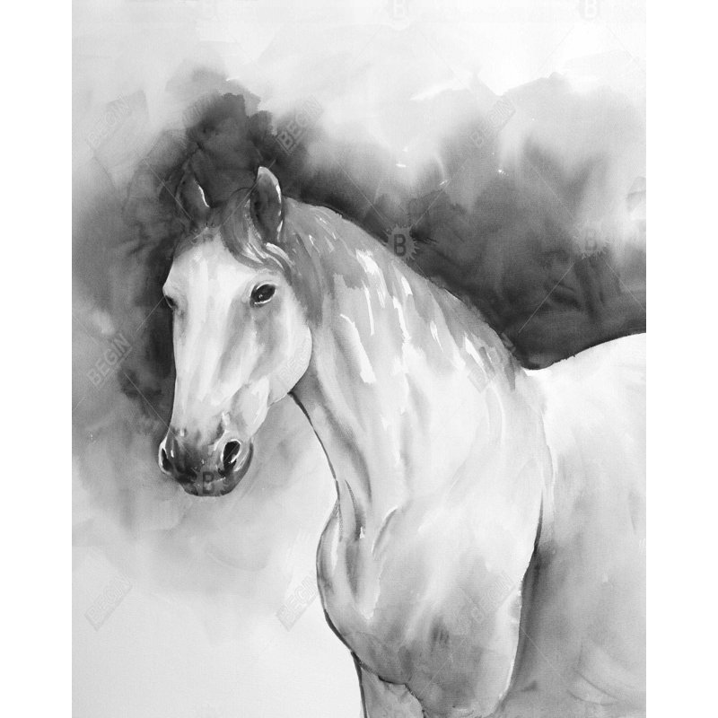 «Domino Horse» sur toile