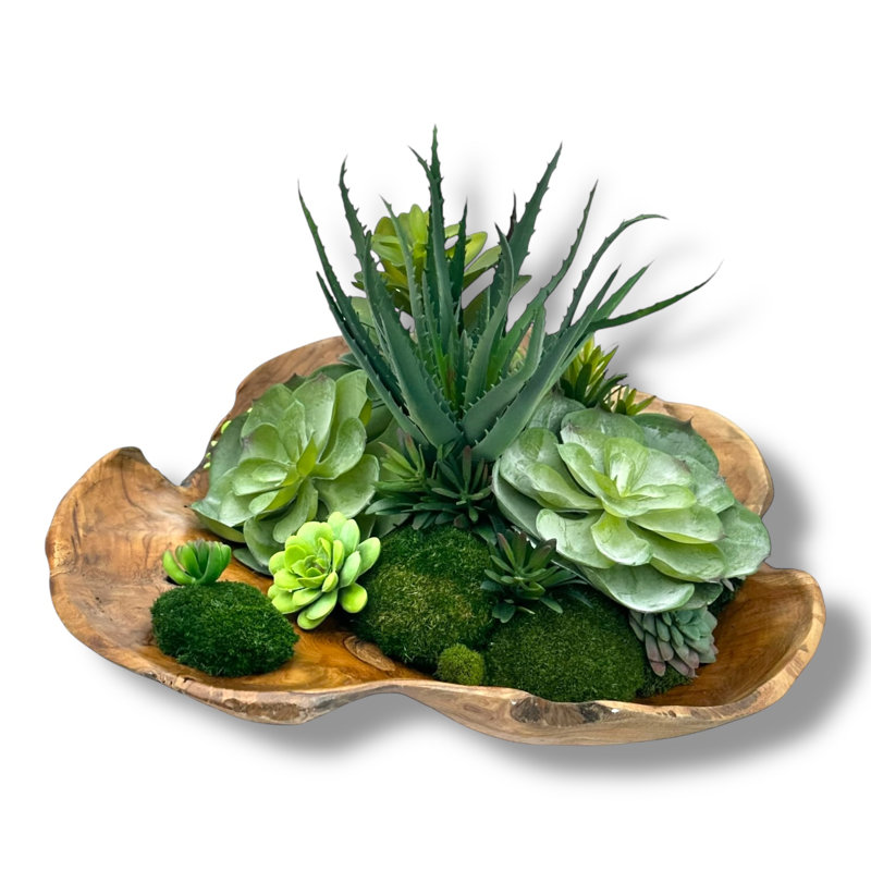 Conception succulente dans un vase en bois naturel abstrait