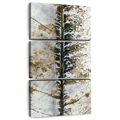Leaf Structure
