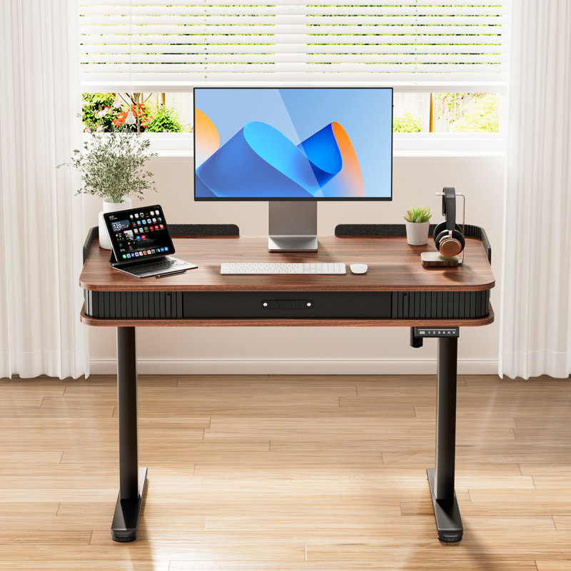 Marshun 48'' W Height Adjustable Rectangle Electric Standing Computer Desk  Home Office Desk with Drawers