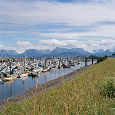 Homer Harbor by Lfreytag - Print