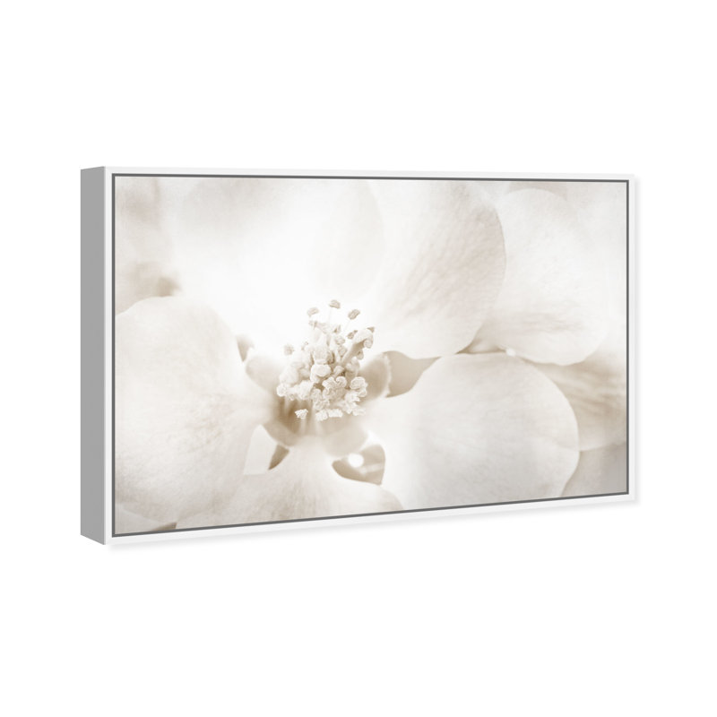 «Floral and Botanical Orchid Love», reproduction d'art graphique sur toile, H 30 po x l 45 po, Impression encadrée, Blanc