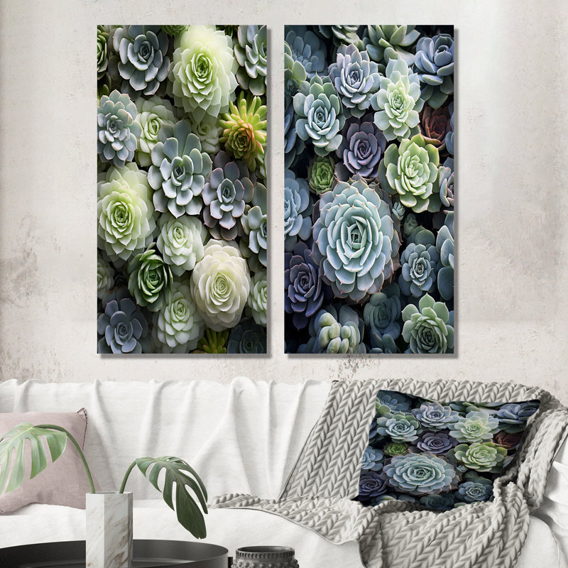 «Green Succulents Flowers Serene Succulents», 2 pièces, Toile tendue, H 24 po x l 20 po