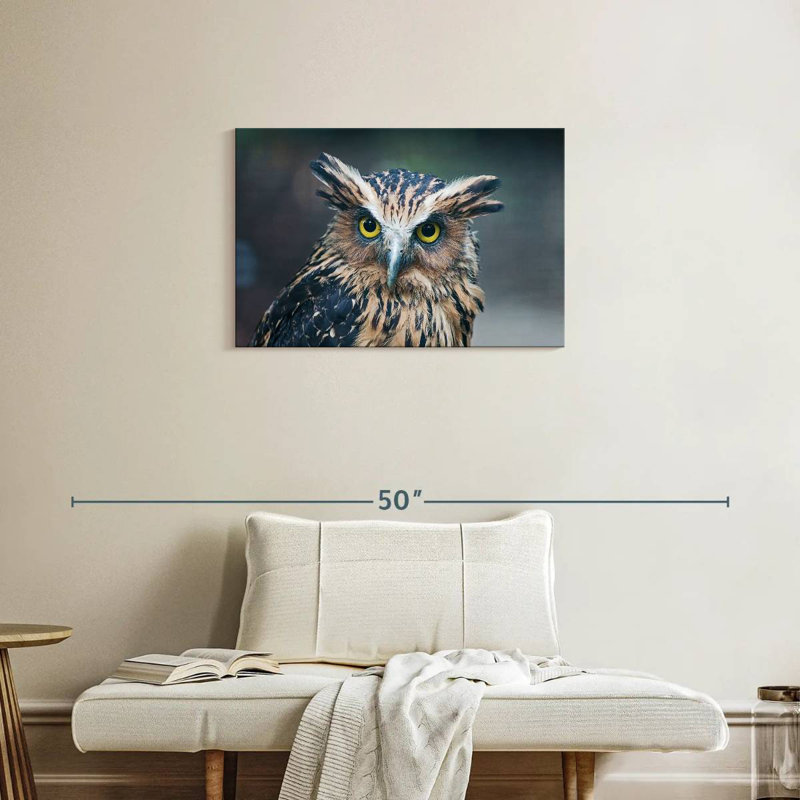 Brampt Staring Great Horned Owl, 20" H x 30" W