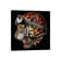 Tiger Helm in Colour by Bioworkz - Wrapped Canvas Graphic Art