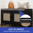 Modern Free-Standing Shoe Bench with Adjustable Shelves and Cushion