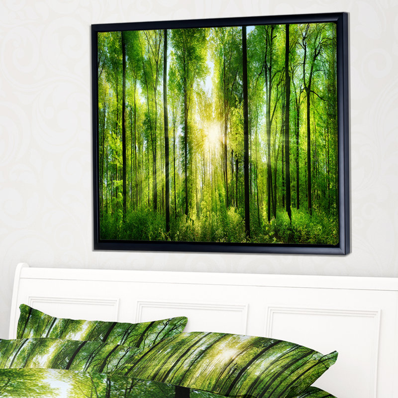 «Forest with Rays of Sun Panorama», photographie, H 12 po x l 20 po x P 1 po, Toile sur cadre