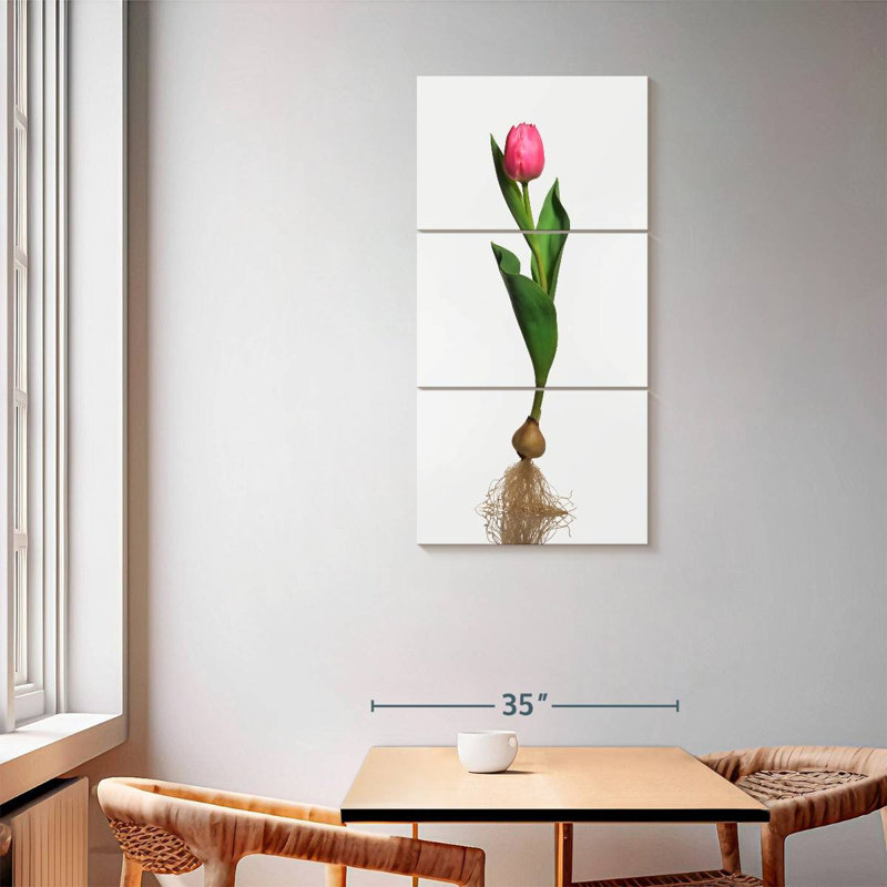 Ampoule de jardin tulipe, H 62 po x l 30 po