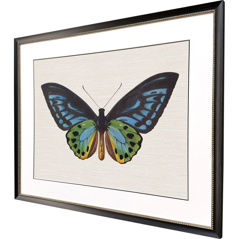 Garden Visitor I Framed Art