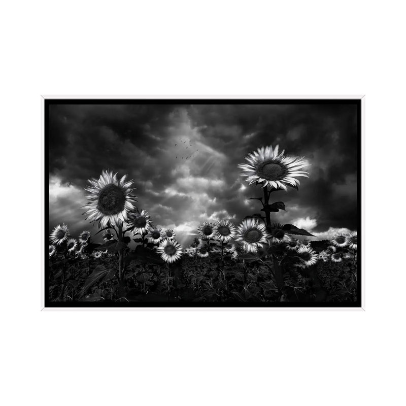 Sunflowers by Fran Osuna - Floater Frame Print on Canvas