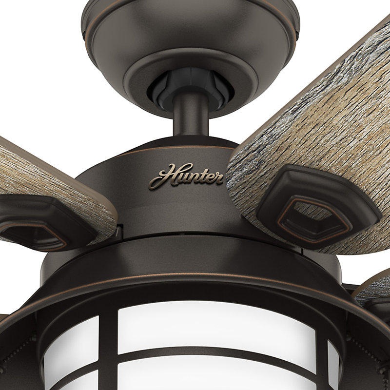 54" Key Biscayne 5 - Blade Outdoor Standard Ceiling Fan with Pull Chain and Light Kit Included, Onyx Bengal