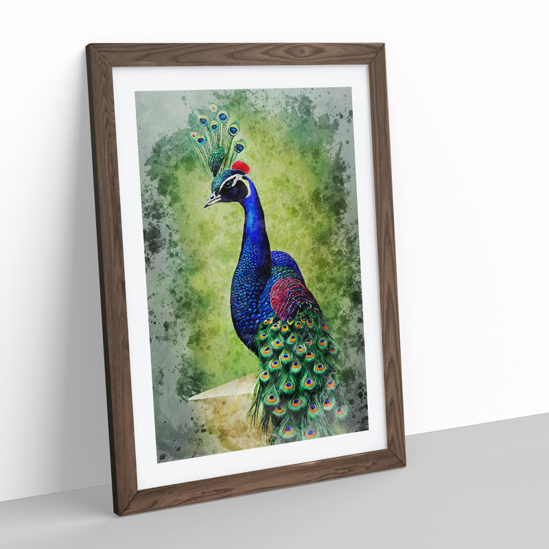 Peacock No.1 - Framed Print, 64cm H x 46cm W x 2cm D, Walnut