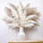 17'' Pampas Grass Plant