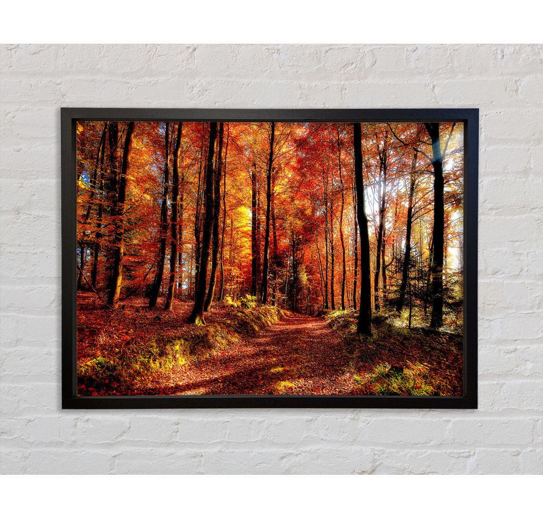 Fall Forest Path - Einzelner Bilderrahmen Kunstdrucke auf Leinwand