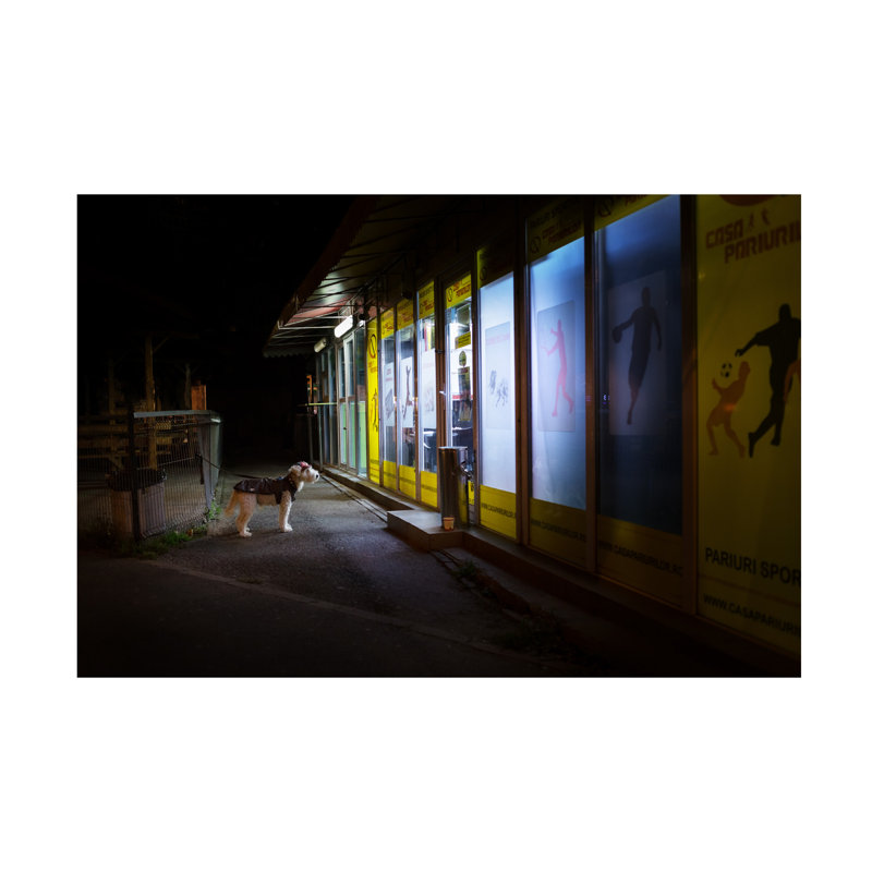 Art sur toile Marius Cinteza Bet, H 12 po x l 19 po