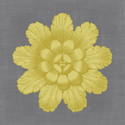 Gilded Rosette III - Wrapped Canvas Print