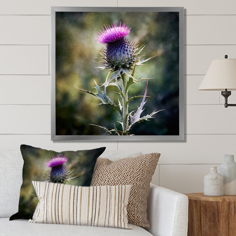 Mauve, vert, chardon, chuchotement, plante, V, H 36 po x l 36 po x P 1,5 po, Cadre photo argenté