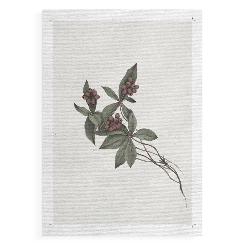 Imprimé floral rétro CLXV III - reproduction de toile seulement - non encadrée