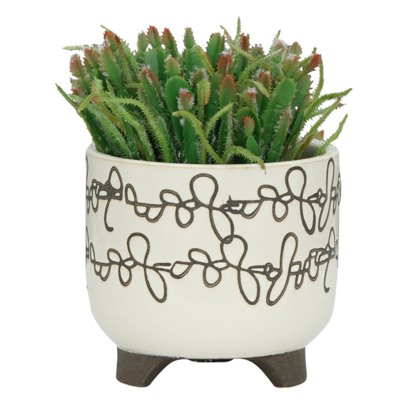 Jardinière en céramique à pattes griffonnées beige - pour les décorations de Noël pot à fleurs 6/8 po