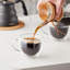 Arrosto Kenya AA Single Origin WhoLe Bean Coffee 2 Lb. -WS-110ARKNYA