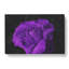 Purple Rose Flower Vol.3 - Wrapped Canvas-64021173