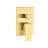 Brushed Gold Ceiling Shower System With 10" Head & Handheld For Bathroom - Mounted In