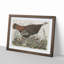 Great American Hen by John Audubon - Picture Frame Painting Print-55575245-55575244