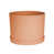Muted Terracotta