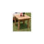 Maclachlan Outdoor Square Teak Side Table