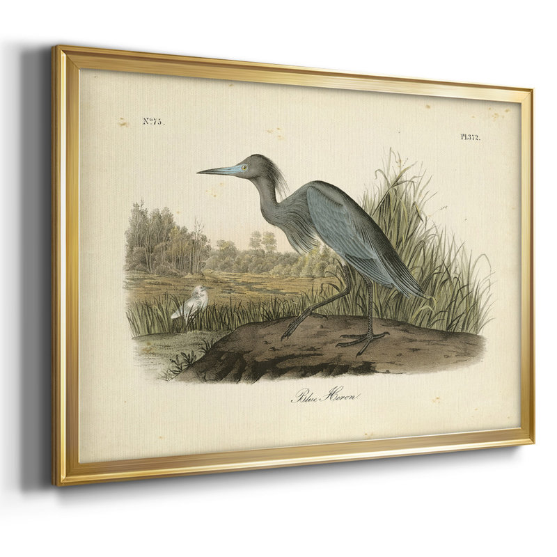 " Audubons Blue Heron ", Gold, 26" H x 38" W x 1.5" D