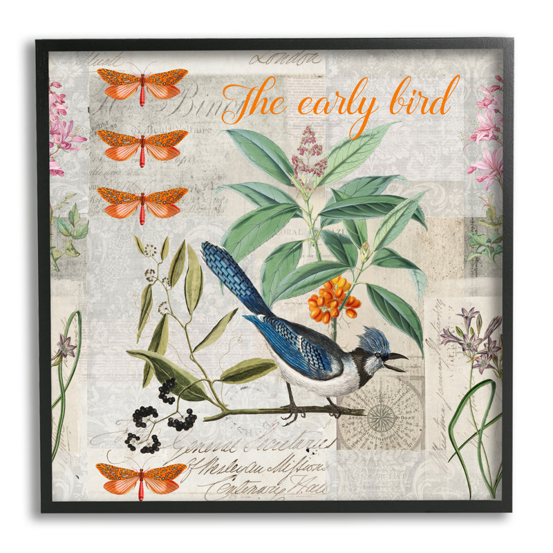 «Early Bird Vintage Nature» par Andrea Haase, H 17 po x l 17 po x P 1,5 po, Giclée encadrée noir minuit