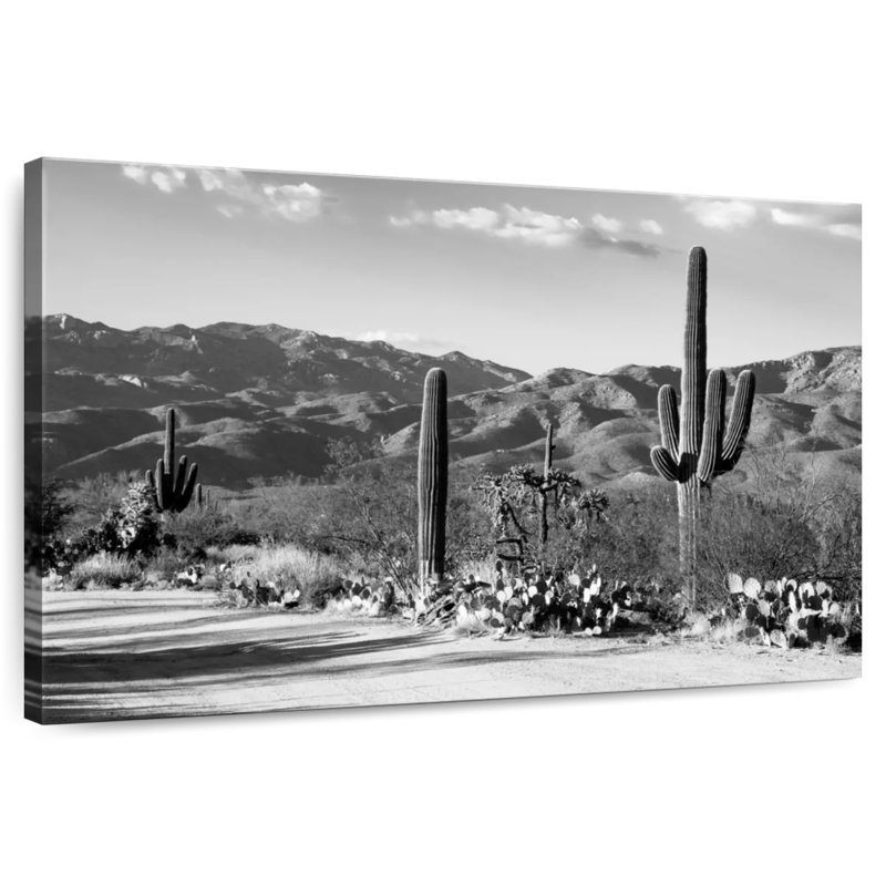 Black Arizona - Sentinel Of The Southwest, 20" H x 30" W