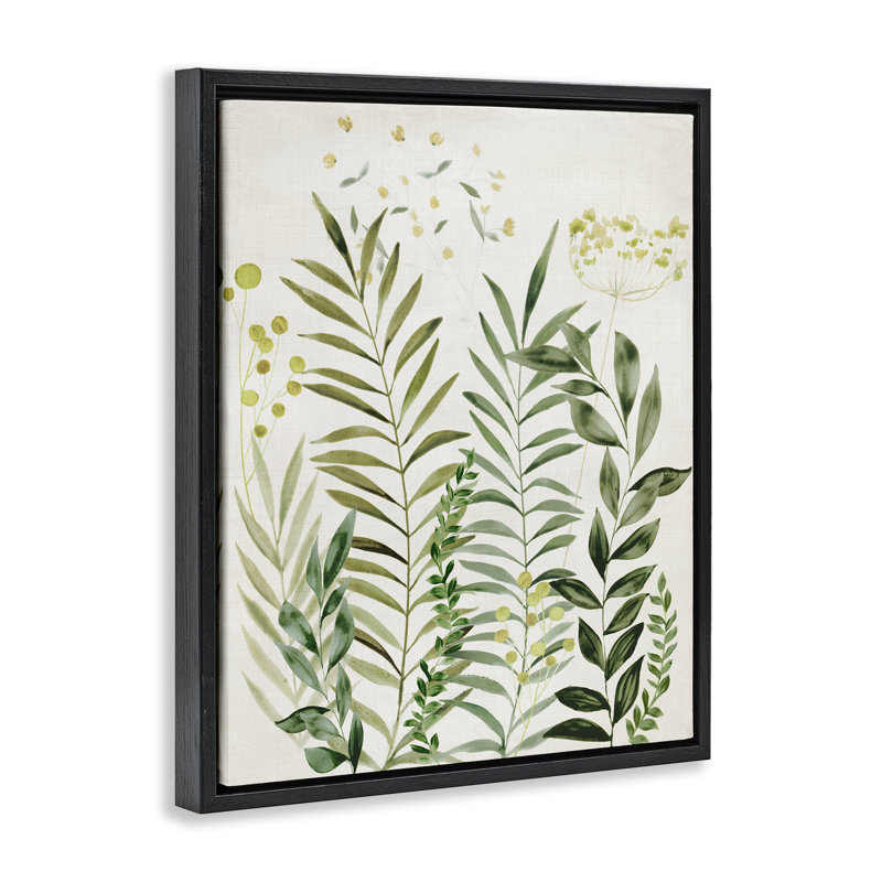 "Delicate Herbs & Leaves", art mural encadré flottant par Hannah Dawson, H 21 po x l 17 po, Cadre flottant noir de jais