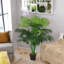 125cm Faux Palm Plant in Freestanding
