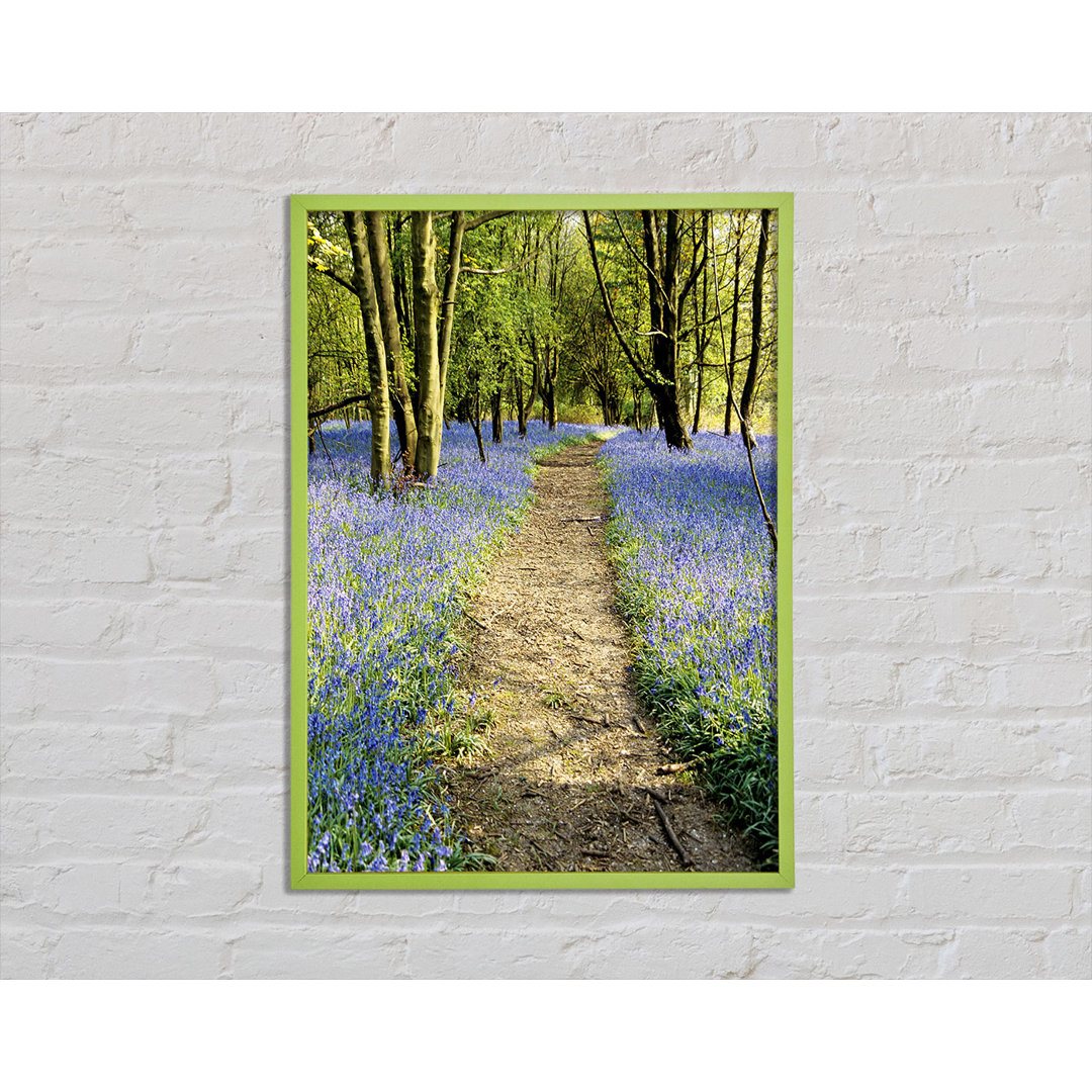 Bluebell Path - Drucken