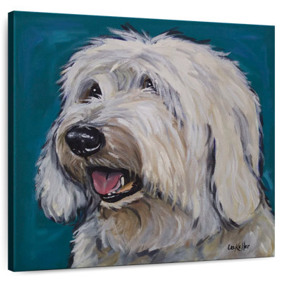 Crowle Old English Sheep Dog Rooney Teal