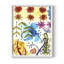 «Flower Power II», reproduction encadrée - bois massif-1225310007-1225310026